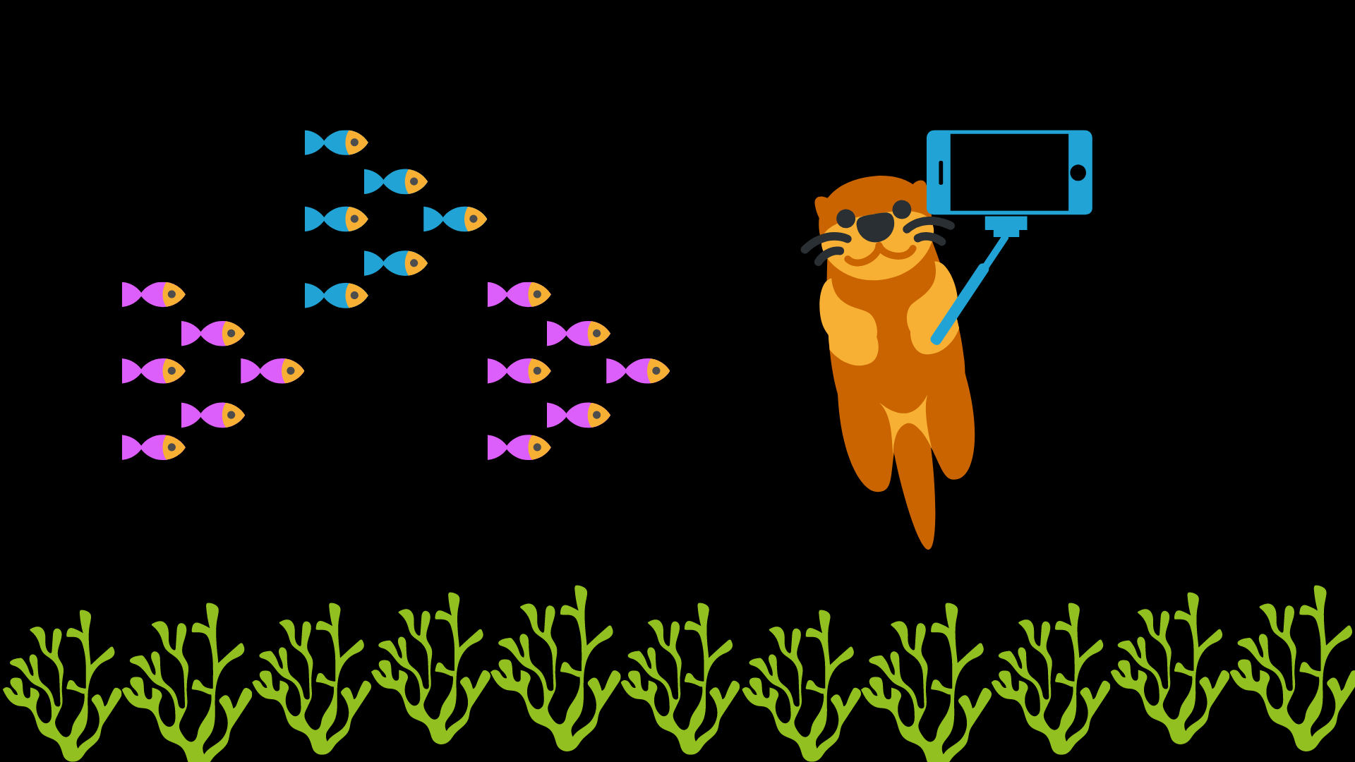 Ecology Experts 2022 | NC Science Olympiad